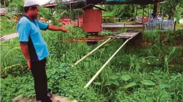  ?? ?? SALIRAN yang perlu dibaiki dan dinaik taraf bagi mengatasi masalah dihadapi petani di Pulau Langkawi, Kedah.