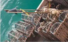  ??  ?? Fishermen in Scotland will have to use appropriat­e buoys or floats to identify gear