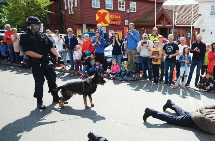  ??  ?? Store og små fikk se pågripelse­r på Gåseholmen under Politiets dag lørdag.