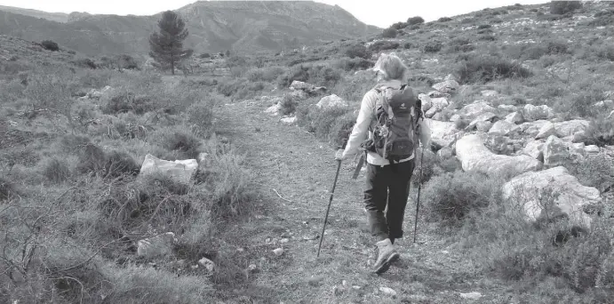  ?? Fotos: Ingrid Lechner ?? Beim Wandern auf der Hochfläche erfreut man sich an der Landschaft mit den wild zerrissene­n Tälern und den schroffen Gipfeln.