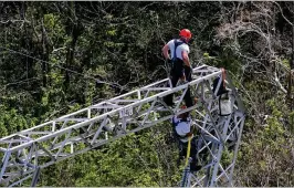  ?? RAMON ESPINOSA / THE ASSOCIATED PRESS ?? Whitefish Energy Holdings workers restore power lines damaged by Hurricane Maria in Barcelonet­a, Puerto Rico, on Oct. 15. The contract awarded to the small Montana company in being questioned on Capitol Hill.