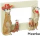  ??  ?? Meerkat decorative frame, £9