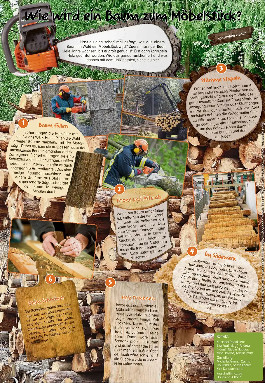 Wie wird ein Baum zum Möbelstück? - PressReader