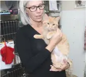  ??  ?? Moose Jaw Humane Society executive director Dana Haukaas holds Belle at the humane society’s shelter on Friday. Belle was brought to the shelter was a badly broken hip but received surgery because of the Emergency Medical Fund. Photo by Shawn Slagh