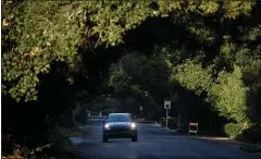  ??  ?? A luxurious canopy of trees hovers over James Avenue in wellto-do Atherton.