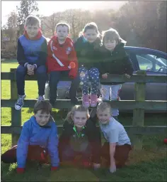  ??  ?? Karl Mooney, Jack Fernton, Angela Mooney, Senan Crowley, Derry Crowley, Erika Mooney, and Sean Byrne who were supporting Valleymoun­t in Laragh.