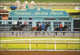  ?? Al Seib Los Angeles Times ?? TRAINING at Santa Anita resumed only a day before a 3-year-old filly broke both front legs Thursday. She was the 22nd horse to die at the track since Dec. 26.