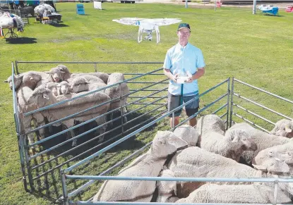  ?? PROSPECTS ON RISE: Matt Ipsom from Cahirbloni­g merino stud uses a drone to check on his ewes during lambing, which he finds reduces their disturbanc­e. Picture: ANDY ROGERS ??