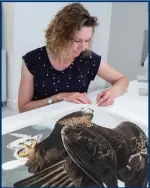  ?? ?? Conservato­r Victoria Hanley works on a print for Audubon’s Birds Of America