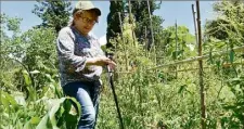  ??  ?? Samia jardine à la Foux deux à trois fois par semaine.