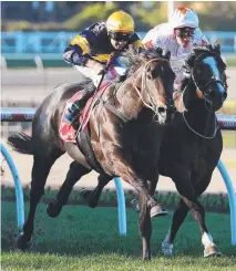  ?? Picture: AAP IMAGE ?? Brutal (outside) is yet to taste defeat in three starts but will miss the Spring Carnival because of injury.