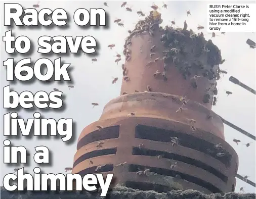  ??  ?? BUSY: Peter Clarke is using a modified vacuum cleaner, right, to remove a 15ft-long hive from a home in Groby