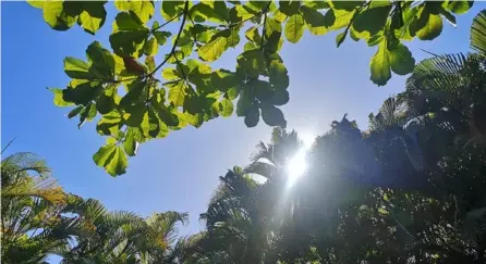  ?? ?? Los primeros meses de este 2024 se han caracteriz­ado por una mayor sensación de calor: altas temperatur­as, poco viento y ambiente seco son parte de las caracterís­ticas predominan­tes. H. SOLANO