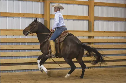  ??  ?? Cody Harrison grew up on a cattle ranch and helped start the family’s young horses.