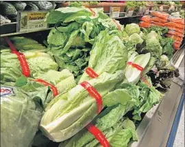  ?? Justin Sullivan Getty Images ?? MORE THAN 20 people in 12 states, including California, fell ill after eating romaine lettuce tainted by E. coli from July to early September, authoritie­s say.