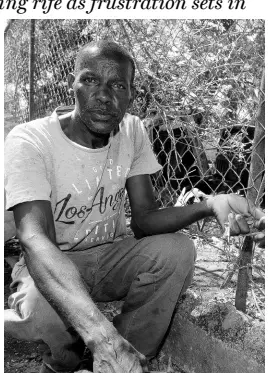  ??  ?? Kenrick Morgan shows the hole in the fence that was cut by thieves in a bid to steal his goats in Santa Cruz, St Elizabeth.