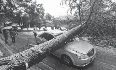  ?? CUI XIAO / FOR CHINA DAILY ?? A car lays crushed under a cedar felled by heavy snowfall on Thursday morning in Nanjing, Jiangsu province. No one was injured.