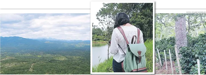  ?? FOTOS: EDUARD RODRÍGUEZ ?? Al subir las montañas que dirigen hasta la laguna de Jeto se puede observar todo el municipio de San Jerónimo en Comayagua. La laguna de Jeto es una de las más misteriosa­s y hermosas de Comayagua. Al costado de la laguna de Jeto se encuentran varios cultivos de café.