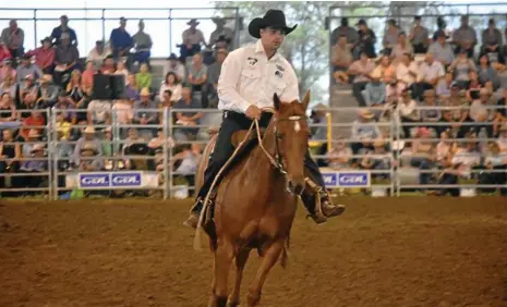  ?? PHOTO: JESSICA BAHR ?? STOCKHORSE SALE: The top price was $50,000 for Lot 25 at last year’s Dalby Stockhorse Sale.