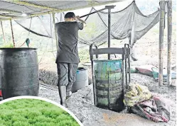  ?? / AFP ?? Laborarori­os para el procesamie­nto de la hoja de coca.