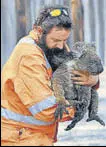  ?? REUTERS ?? A wildlife rescuer with a koala rescued at a burning forest southwest of Adelaide.