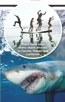  ??  ?? There have been many shark attacks in Florida, Hawaii and
California