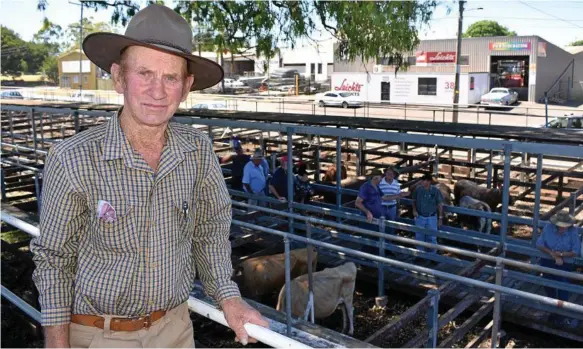  ?? PHOTO: CASSANDRA GLOVER ?? REGULAR SELLER: Neville Dowling at the Toowoomba Saleyards on Monday, where he sold heifers for 308c.