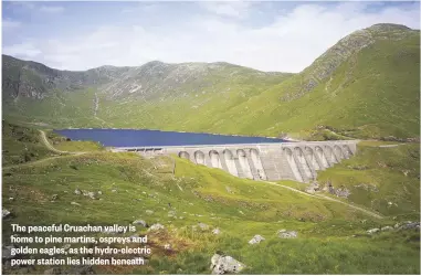  ??  ?? The peaceful Cruachan valley is home to pine martins, ospreys and golden eagles, as the hydro-electric power station lies hidden beneath