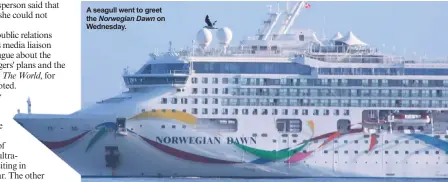  ?? ?? A seagull went to greet the Norwegian Dawn on Wednesday.