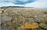  ?? JOSEFINA VILLARREAL ?? La contaminac­ión de playas es una de las problemáti­cas ambientale­s que más impacta al departamen­to.