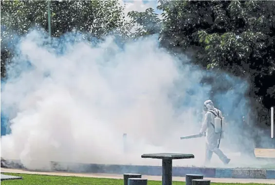  ?? ?? Operativo. Una fumigación en una plaza de Lomas de Zamora. La provincia de Buenos Aires es uno de los distritos más afectados del país.