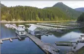  ?? Statesman-Journal file photo via AP ?? Docks float in the water at Detroit Lake in Detroit, Ore., on May 1, 2005.