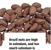  ??  ?? Brazil nuts are high in selenium, and too much selenium is toxic.