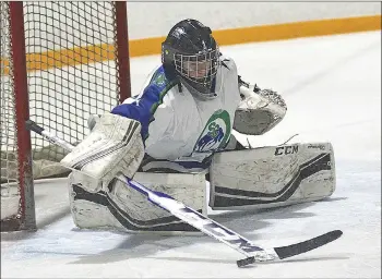  ?? STEVEN MAH/SOUTHWEST BOOSTER ?? Rylan Hildebrand led all goaltender­s with four wins and a 1.25 goals against average in the playoffs.