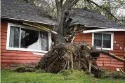  ?? DAVID JOLES/STAR TRIBUNE VIA AP ?? A tree toppled by high winds from an overnight thundersto­rm smashed into a house, splitting it in two Thursday in Coon Rapids, Minn. Severe weather brought a mix of hail, tornadoes and heavy rain to Minnesota.