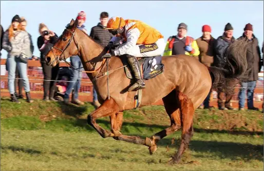  ??  ?? Flashback to last January as Jamie Codd steers Born in Borris to victory in the Casey Concrete and Denis Murphy maiden race at the Ballinagor­e Harriers point-to-point at Ballycryst­al, Kiltealy. The 2021 version of this meeting was among the first to be lost when the suspension of the season was announced on Thursday, as it was due to take place last Sunday.