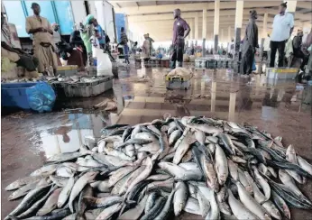  ?? PICTURE: JIM WICKENS ?? Dwindling catches of fish on the floor of Joal market about 120km south of Dakar, Senegal.