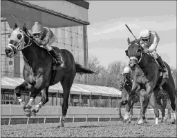  ?? JERRY DZIERWINSK­I/MARYLAND JOCKEY CLUB ?? Shackled Love (left) takes the Private Terms by a half-length over Maythehors­ebwithu. Both are moving on to the Tesio.