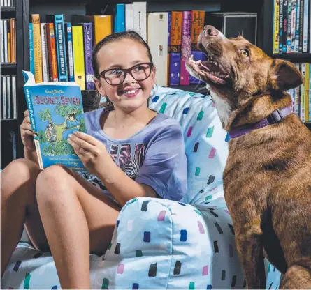  ?? Picture: JERAD WILLIAMS ?? Molly Woods, 10, is joined by her pet dog Luna as she reads Enid Blyton’s The Secret Seven Adventure.