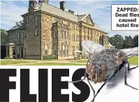  ??  ?? ZAPPED: Dead flies caused hotel fire
