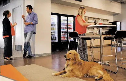  ?? Leah Millis / The Chronicle ?? Lauren Hoe’s dog Rupert keeps her company at Eventbrite headquarte­rs as Julia Taylor and Rob Mishev chat nearby.