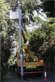  ??  ?? The ESB working on overhead lines on Sidmonton Road yesterday (Tuesday).