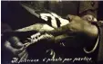  ??  ?? in mostra | Un piccione utilizzato durante la Guerra (spesso l'unico modo di comunicare); sotto una carta d'Italia con vista “rovesciata”