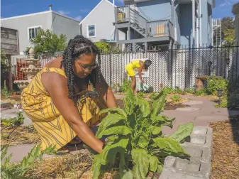  ?? Photos by Santiago Mejia / The Chronicle ?? Above: Chanae Pickett, along with her mother, Gabrielle Dickey Chanel El, and her brother, Ezekiel “Zeke” McCarter, created a healing garden last month in West Oakland. Right: The Long Live Love Foundation’s garden is a therapeuti­c space for people coping with trauma.