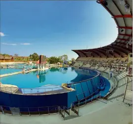  ?? (Photo Franz Chavaroche) ?? L’acquisitio­n, la reproducti­on et l’exploitati­on des cétacés dans des delphinari­ums deviendron­t interdites dans cinq ans. Le parc Marineland, à Antibes, est touché de plein fouet par ces nouvelles mesures.