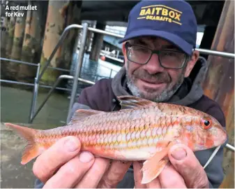  ??  ?? A red mullet for Kev