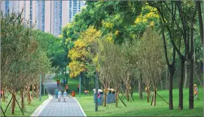  ??  ?? A panda-themed section of the Tianfu Greenway near the third ring road of Chengdu has become a beautiful must-visit destinatio­n.