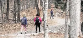  ?? CHARLES KRUPA AP ?? Two hikers head up a trailhead of Great Blue Hill, while one completes her hike from the summit last week, at the Blue Hills Reservatio­n, in Milton, Mass. First Day Hikes, that started in Massachuse­tts in 1992, have become a nationwide phenomenon.