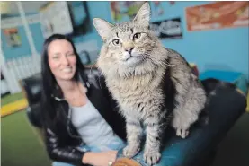  ?? GEOFF ROBINS THE CANADIAN PRESS ?? Melissa Millett and her cat Tonic worked on the remake of the film "Pet Sematary.”