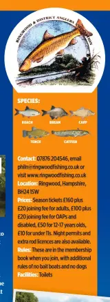  ??  ?? Contact: 07876 204546, email philn@ringwoodfi­shing.co.uk or visit www.ringwoodfi­shing.co.uk
Location: Ringwood, Hampshire, BH24 1SW
Prices: Season tickets £160 plus £20 joining fee for adults, £100 plus £20 joining fee for OAPs and disabled, £50 for...